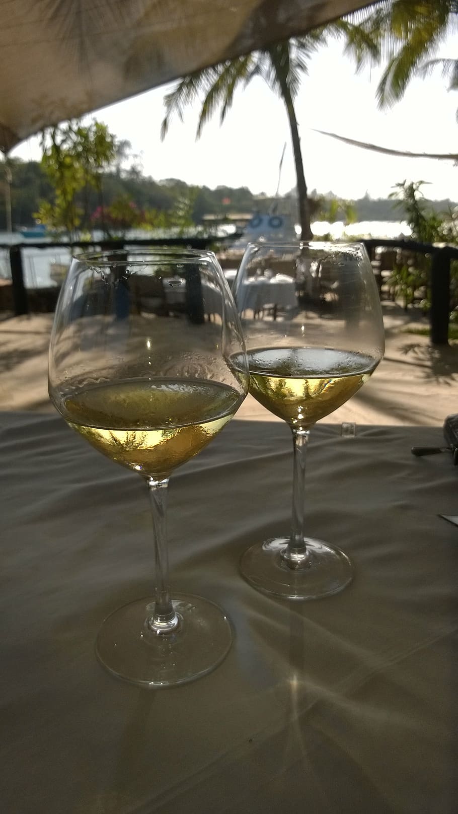 glasses, wine, white, diner, alcohol, refreshment, food and drink HD wallpaper