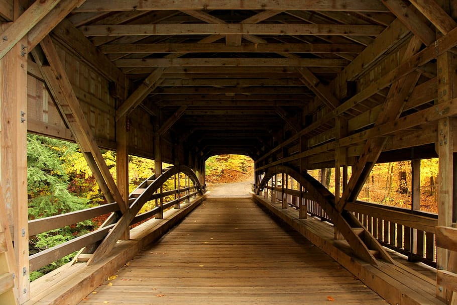bridge, covered bridge, forest, forest view, autumn, fall, yellow, HD wallpaper
