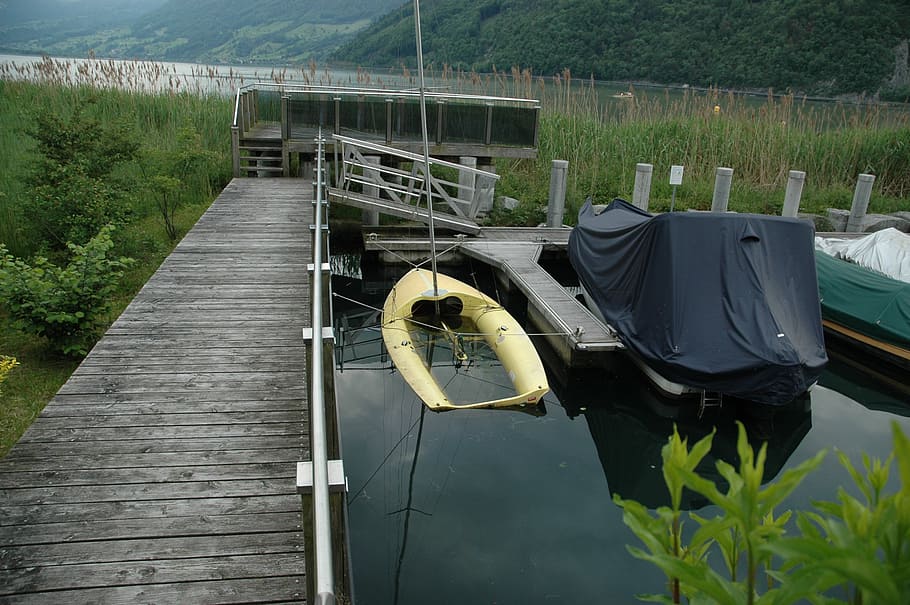 boot, wreck, kahn, leak, old, water, plant, nature, lake, transportation HD wallpaper
