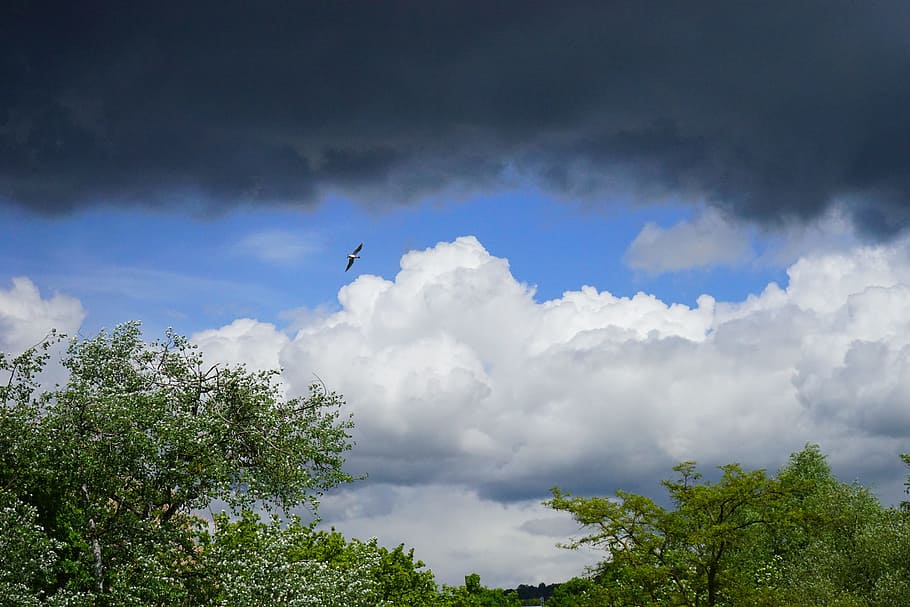 Overcast, Dark Clouds, sky, forward, storm, white, blue, grey HD wallpaper