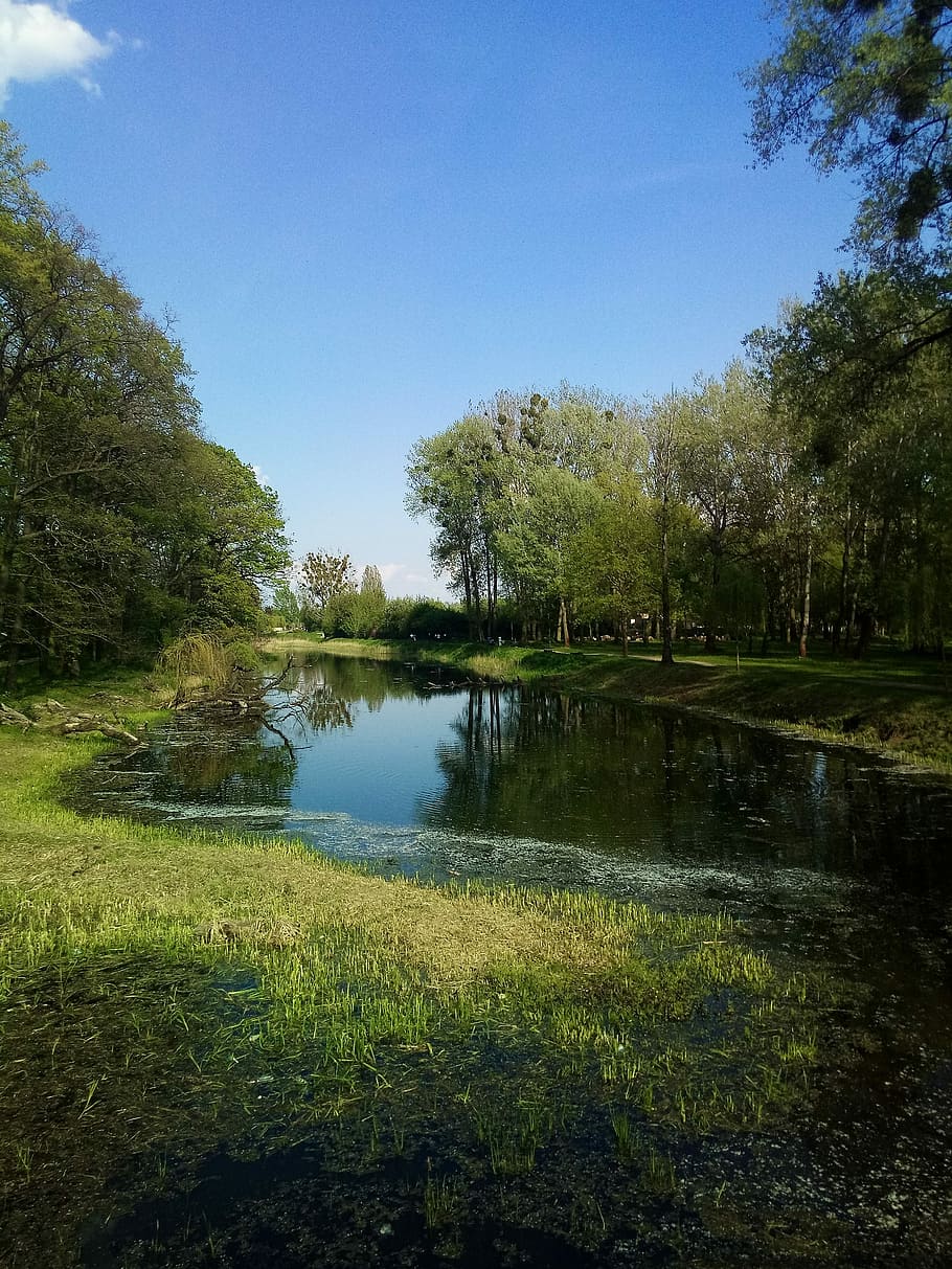 Nature, Park, Tree, Green, Forest, landscape, water, reflection HD wallpaper