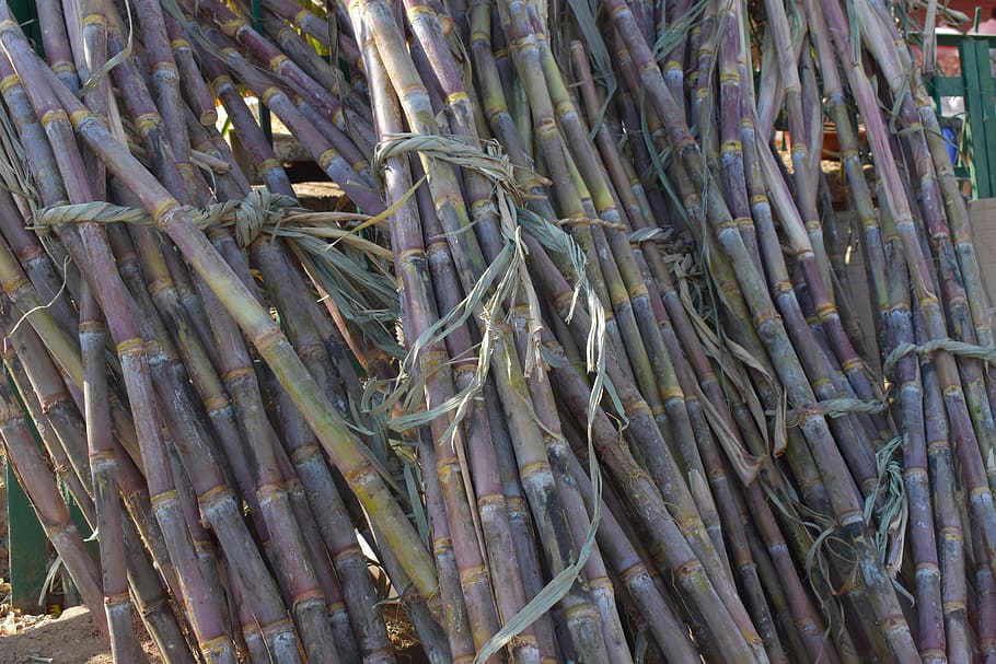 Sugarcane Cloud Stock Photos and Images - 123RF