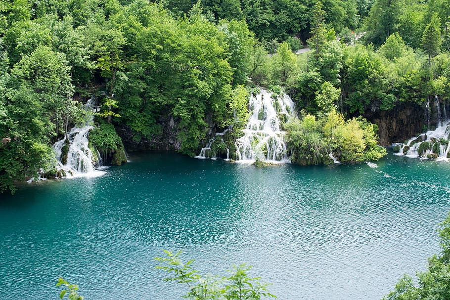 background, water, croatia, beauty in nature, plant, tree, scenics - nature HD wallpaper