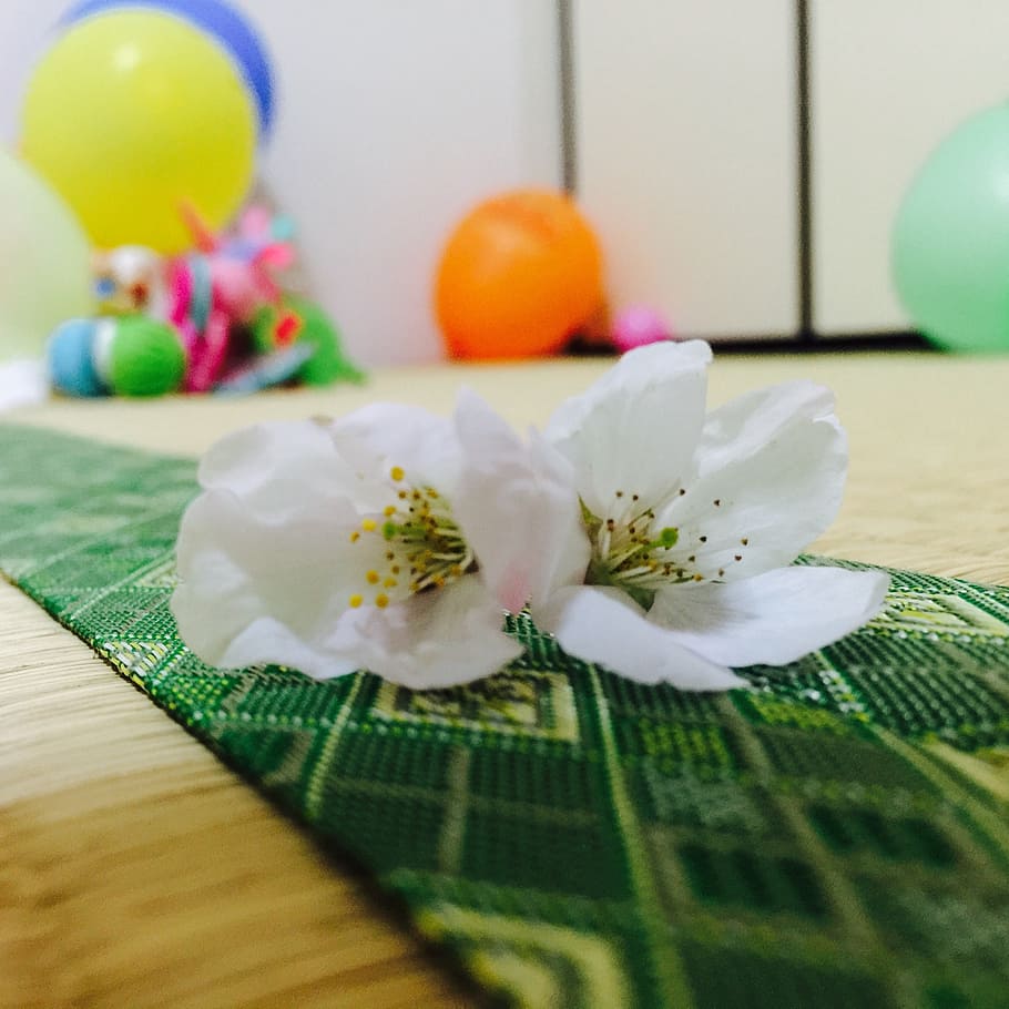 mat, green, white, table, indoors, selective focus, celebration HD wallpaper