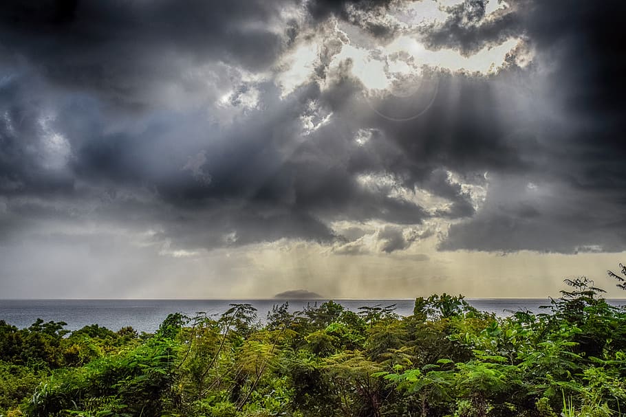 nature, sky, panoramic, landscape, tree, storm, cloud - sky HD wallpaper