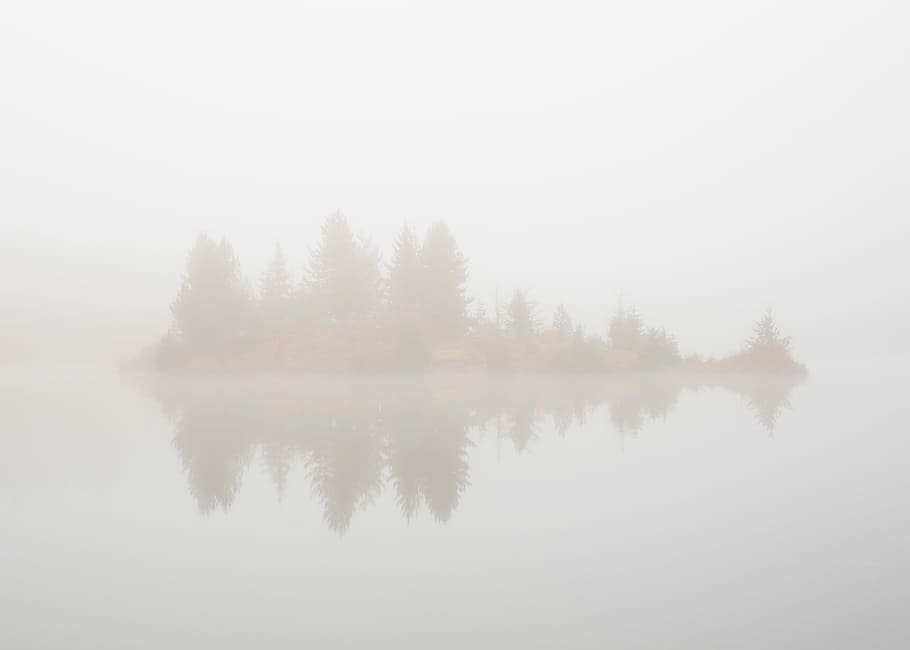 trees surrounded of body of water, foggy island with trees, mist, HD wallpaper