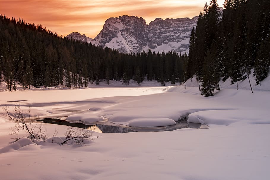 photo of body of water during winter season, trip, snow, tree HD wallpaper