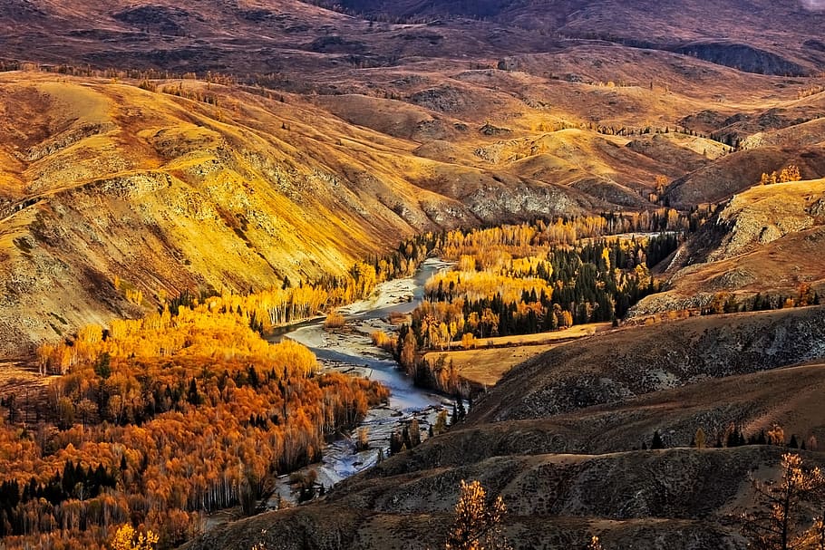yellow and brown trees with mountain, china, landscape, mountains HD wallpaper