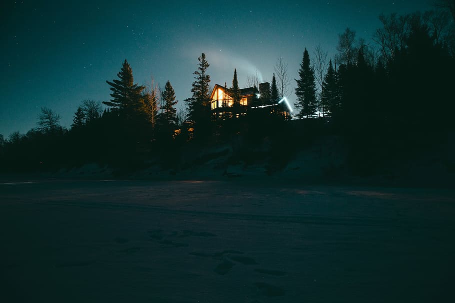 house surrounded by trees during night, lighted house during nighttime HD wallpaper