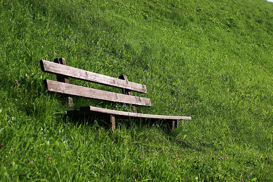 bank, rest, meadow, green, nature, wooden bench, serenity, silent