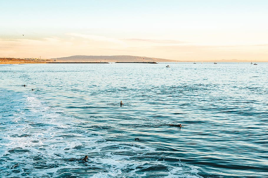 body of water during daytime, group of person swimming on body of water HD wallpaper