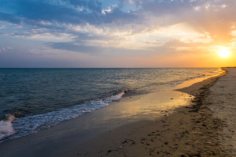 sunset, bird, sea, beach, sand, seascape, coast, gulls, water HD wallpaper