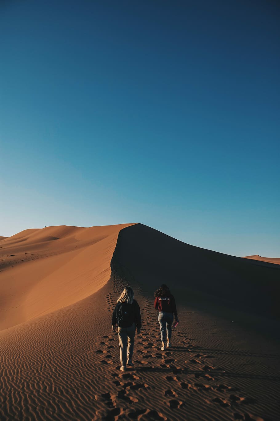 two women walking on desert, two women walking on a desert during sunset HD wallpaper