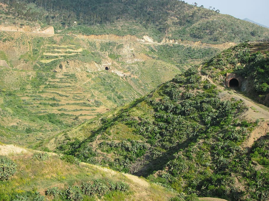 eritrea, landscape, valley, forest, woods, trees, mountains HD wallpaper