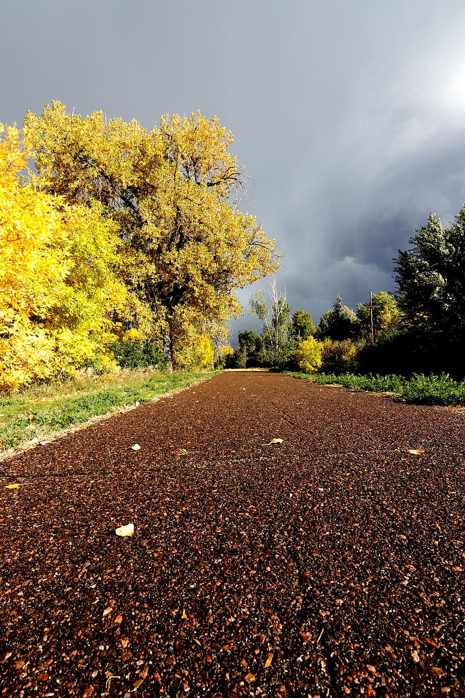 path, trail, walking, running, yellow, leaves, cloudy, sky HD wallpaper