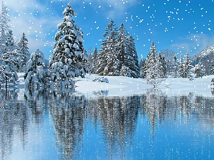 green pine trees covered with snow, winter, snowfall, wintry HD wallpaper