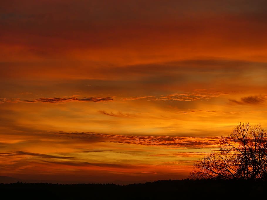 sunset, afterglow, light, sky, fire, mood, orange color, silhouette HD wallpaper