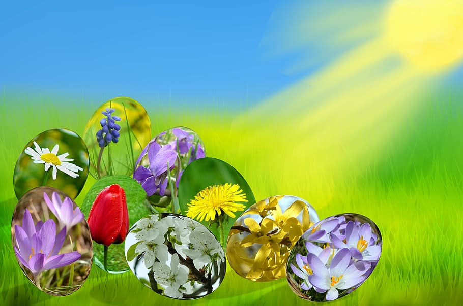 assorted-color flowers, easter, eggs, spring, sun, grass, green, HD wallpaper