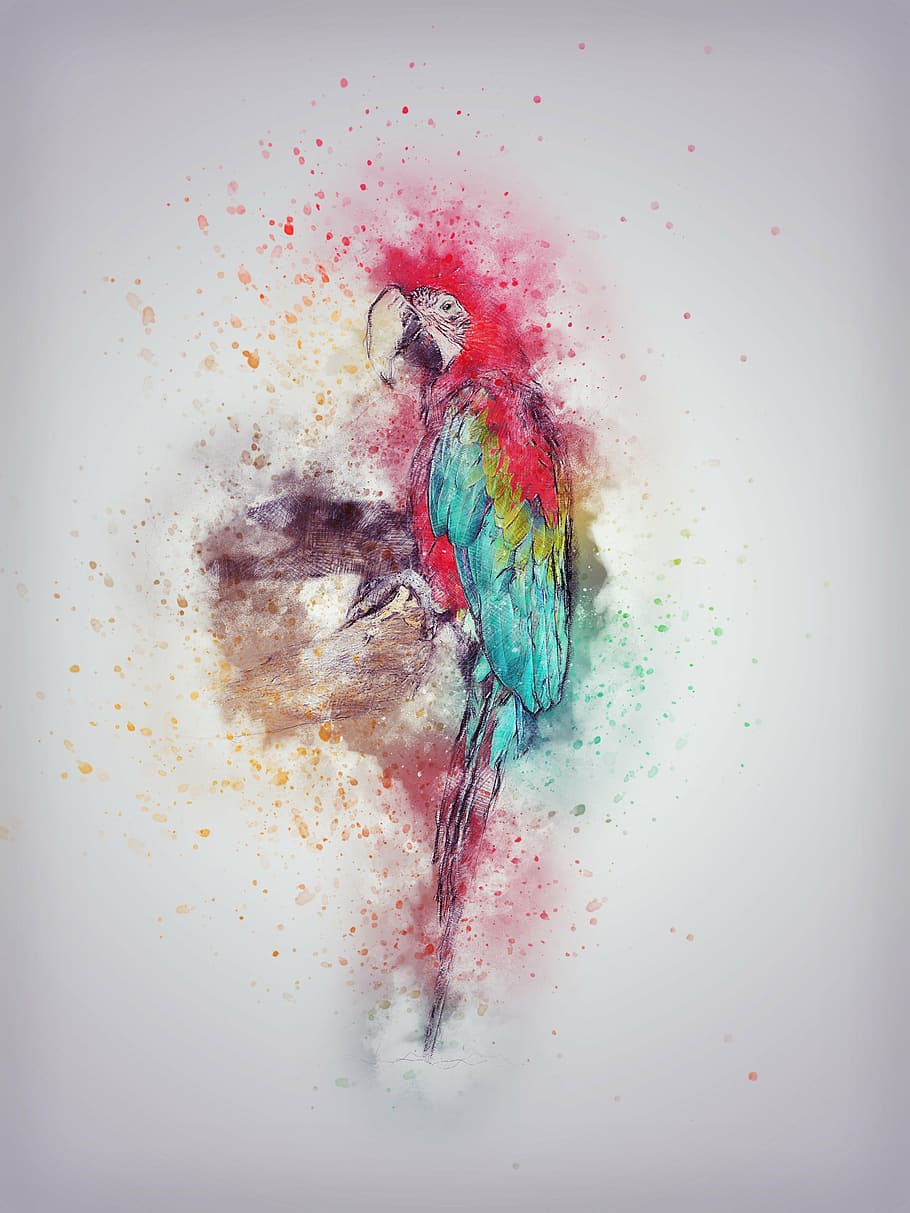 red, blue, and yellow parrot painting, bird, feathering, art, HD wallpaper