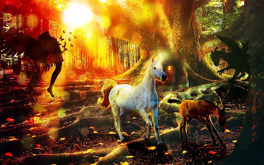 whit and brown stallions running, fantasy, unicorn, forest, fairy, HD wallpaper