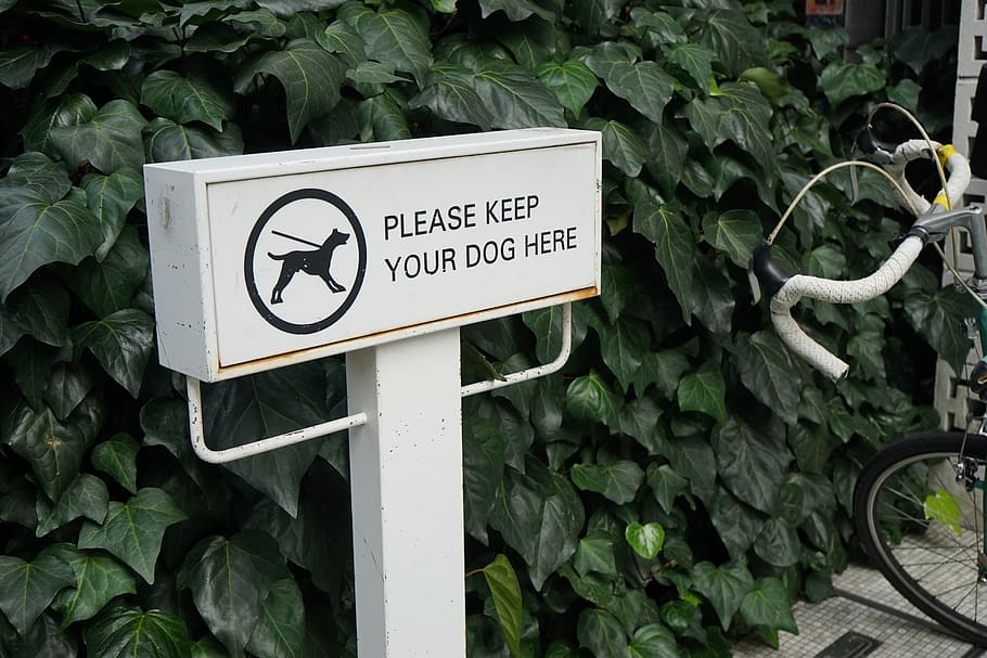 billboard, ivy, grass, communication, sign, leaf, plant part HD wallpaper