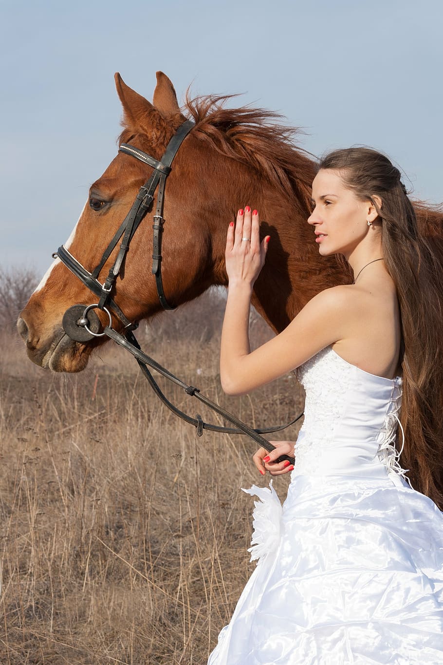 woman in tube dress holding brown horse, wedding dress, field