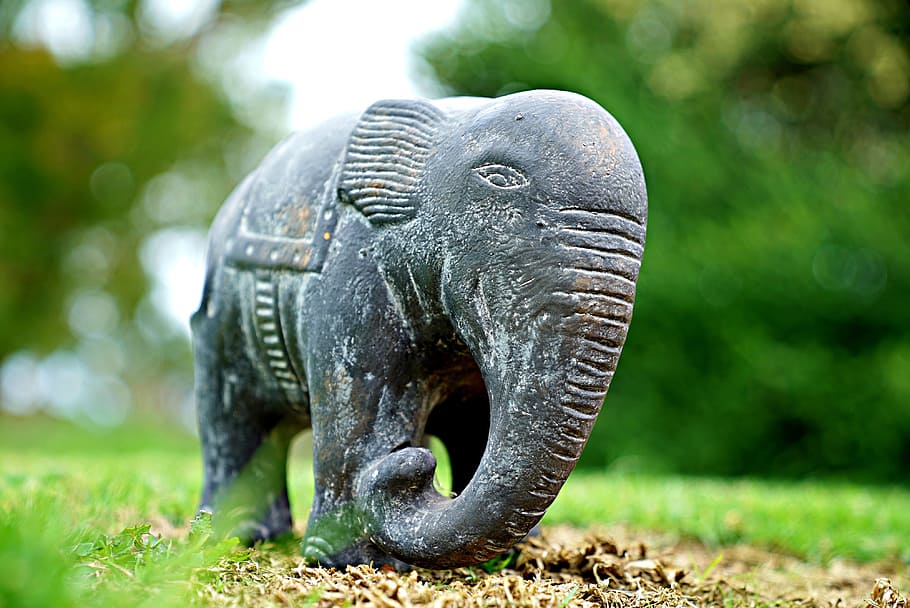 elephant, strength, charge, attack, wild, bulk, strong, decorative HD wallpaper