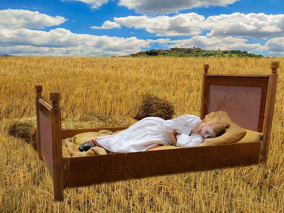 woman laying on bed on grass field, cornfield, sleep, good night, HD wallpaper