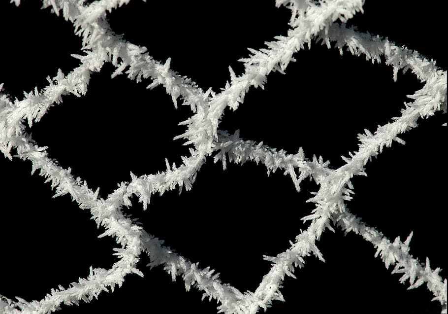 frost, fence, closing, cold, winter, science, biology, no people HD wallpaper