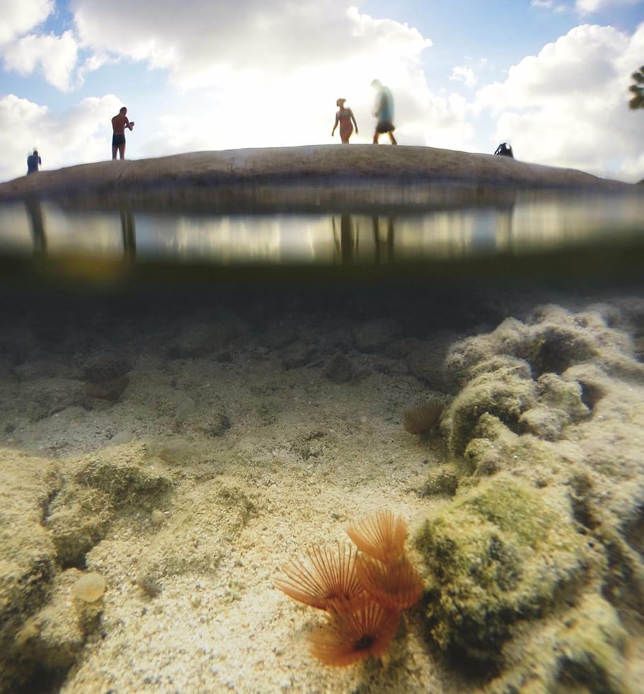 under water, ocean, dive, under the sea, nature, gopro, people HD wallpaper