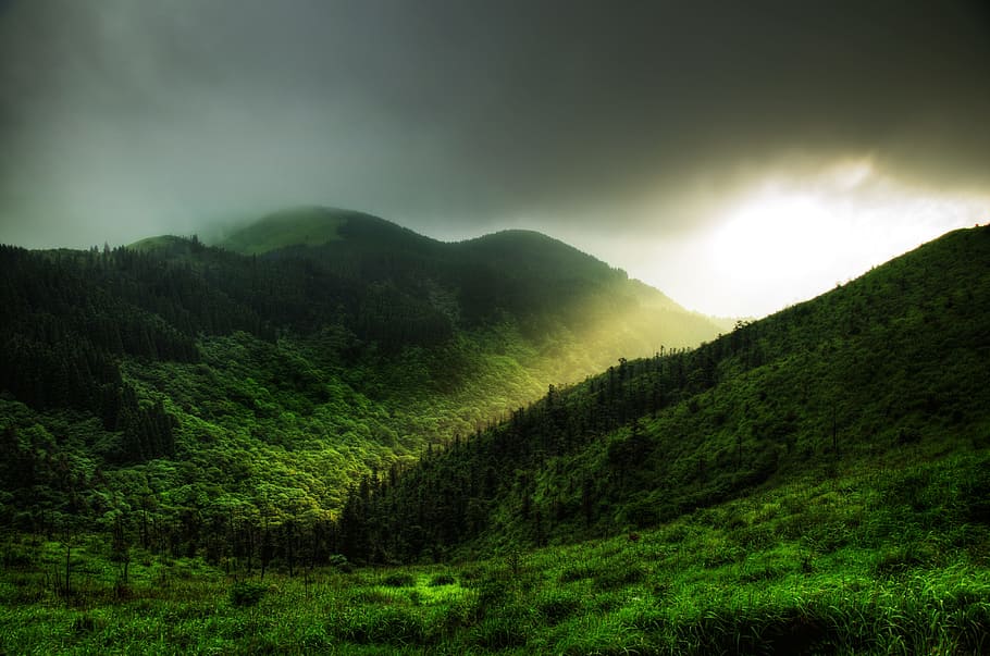 green mountain, jesus light, tree, grass, wugongshan, scenics - nature HD wallpaper