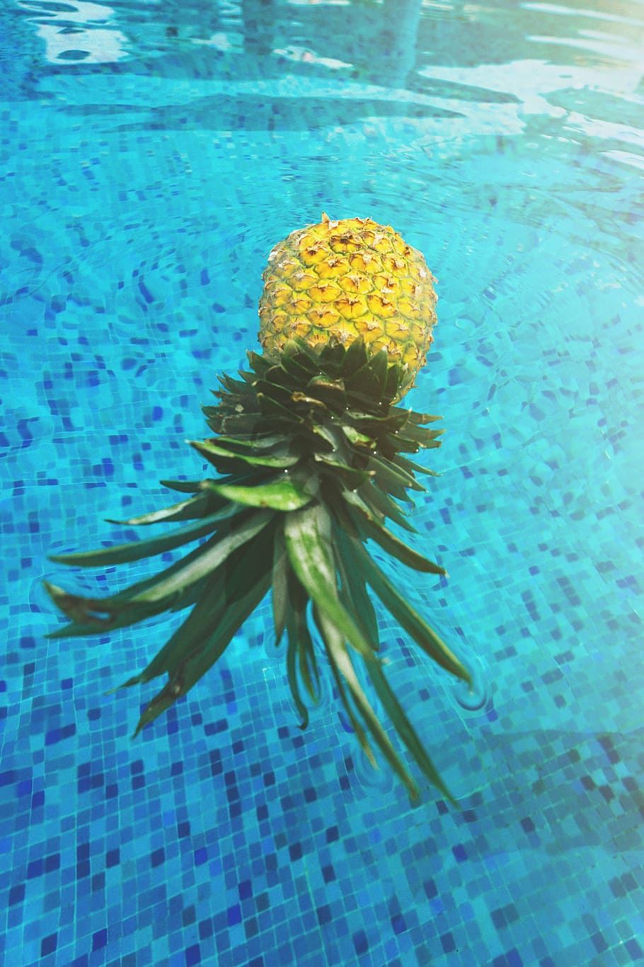 pineapple on body of water, float, floating, fruit, mexico HD wallpaper