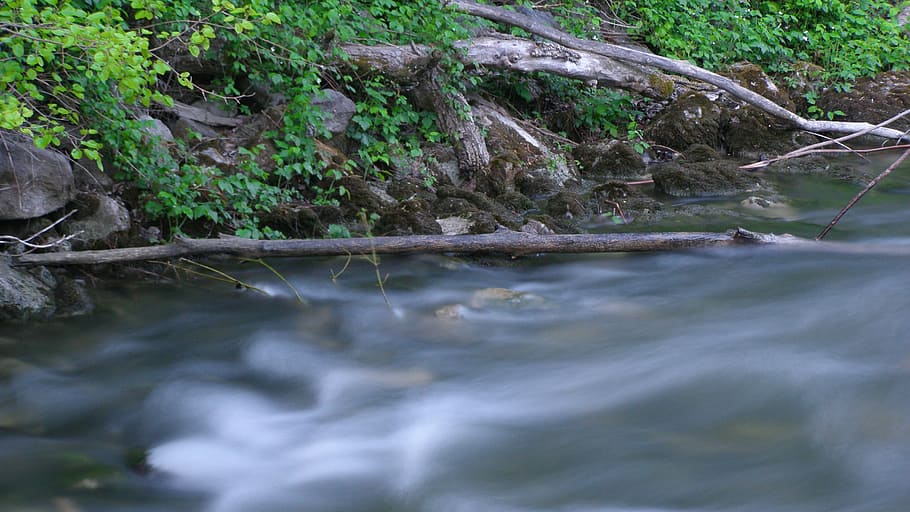 stream, white water, nature, plant, tree, forest, flowing water HD wallpaper