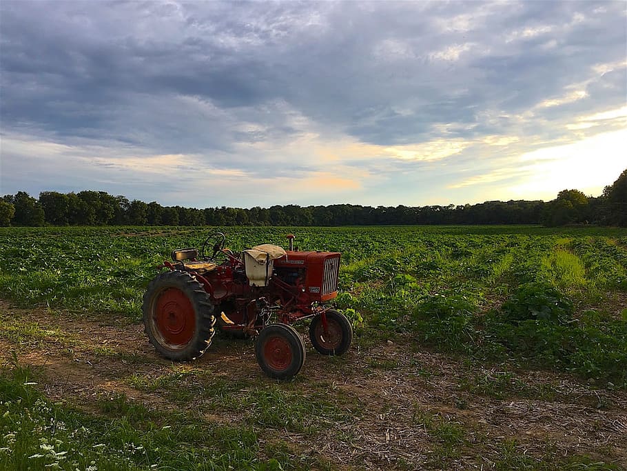 tractor, farm, sunset, light, agriculture, field, rural, farming HD wallpaper