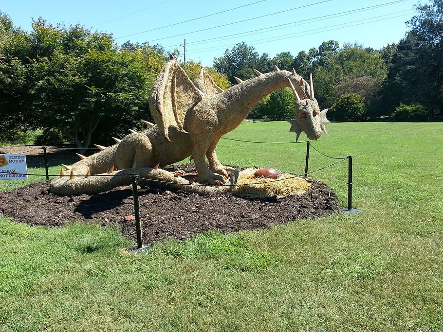 brown dragon statue looking at egg on green sod lawn at daytime, HD wallpaper