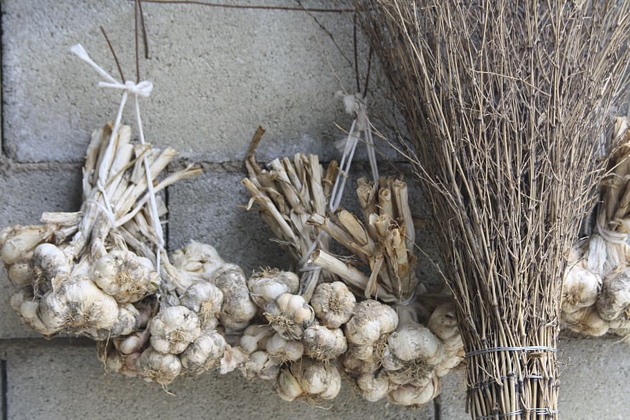garlic, campaign, bunch, no people, food and drink, plant, freshness HD wallpaper