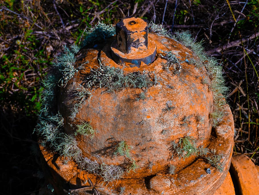 fire hydrant, water hydrant, extinguish, fire department, red HD wallpaper