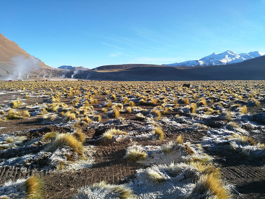 highlands, chile, grass, mountain, beauty in nature, scenics - nature HD wallpaper