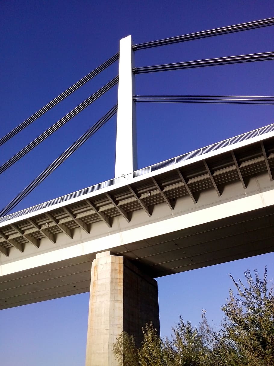 bridge, river, architecture, landmark, building, cityscape HD wallpaper
