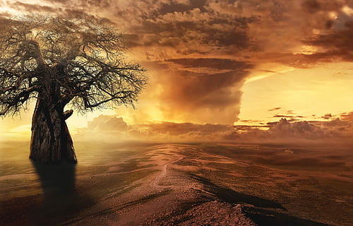 bare tree and smoke illustration, fantasy, landscape, clouds HD wallpaper