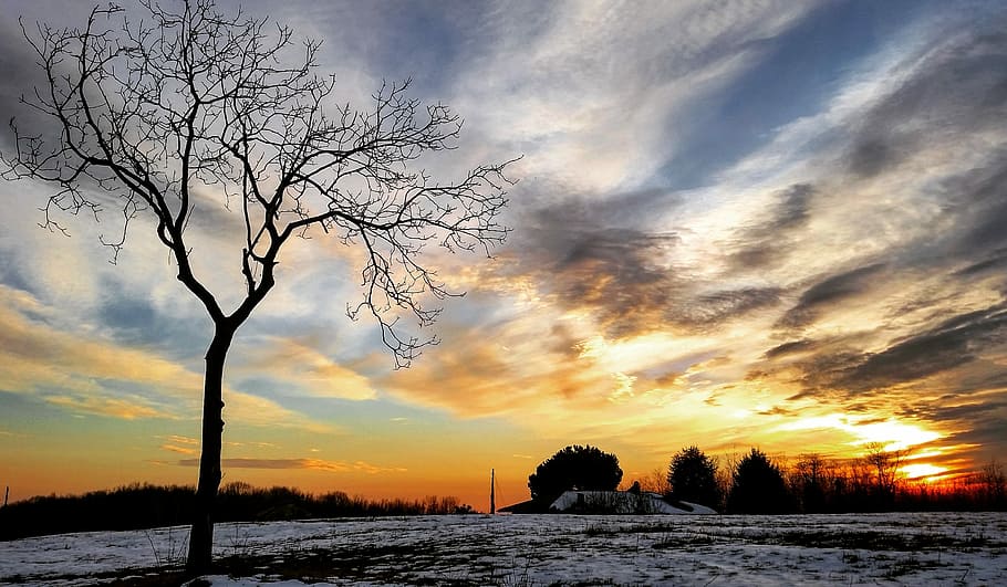 sunset, nature, tree, sky, landscape, clouds, snow, winter HD wallpaper
