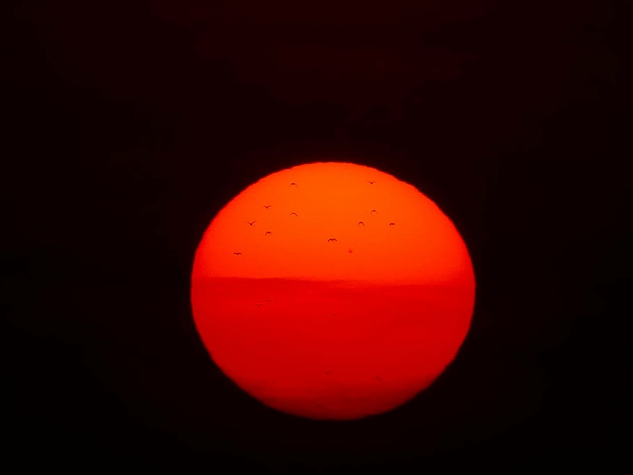 sun, fireball, birds, red, sunset, nature, solar disk, heat HD wallpaper