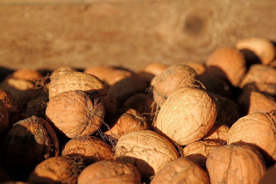 walnuts, bark, harvest, autumn, brown, food, close-up, backgrounds HD wallpaper