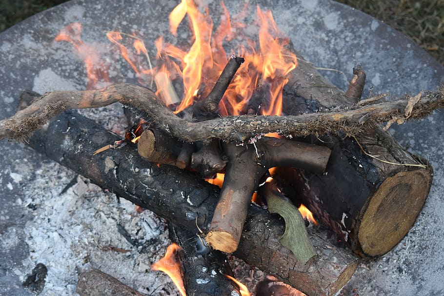 Branches, Wood, Fire, Burn, Flames, wood fire, fire - natural phenomenon HD wallpaper