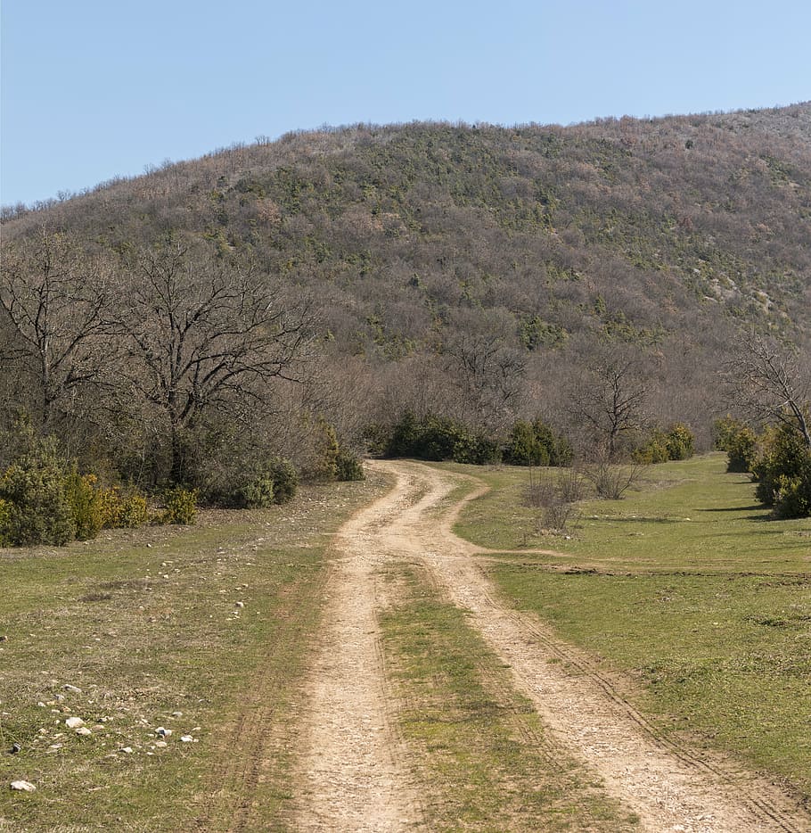 path, forest, mountain, nature, green, landscape, woods, road HD wallpaper