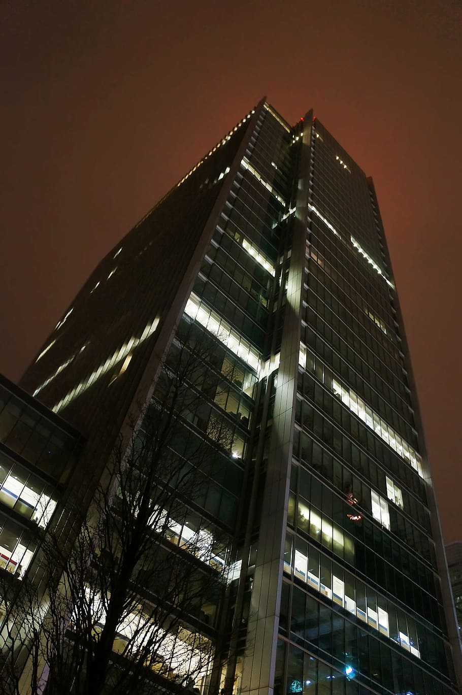 skyscraper, building, architecture, glass, night, window, lighting HD wallpaper