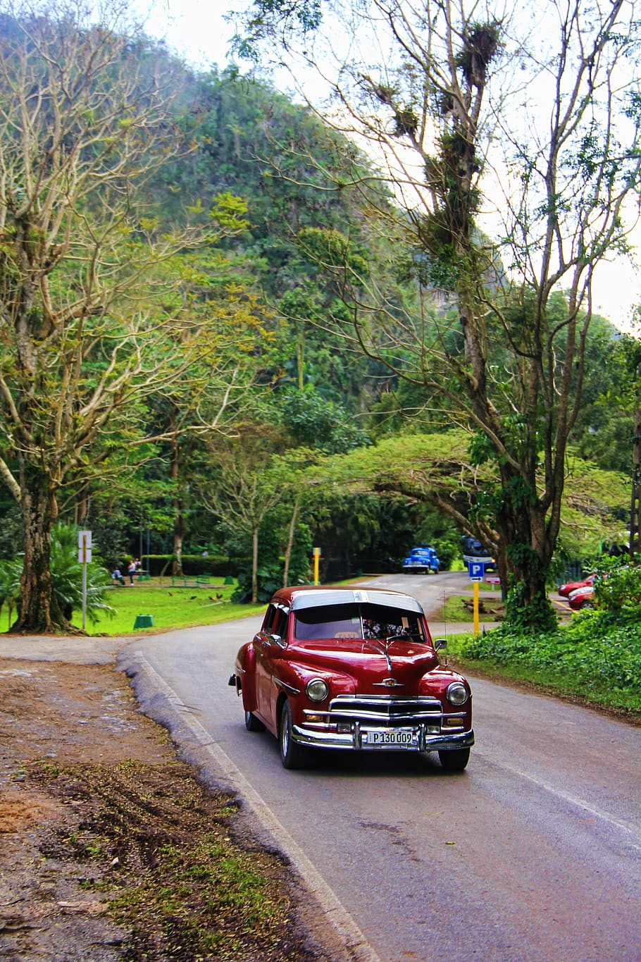 oldtimer, red, metallic, auto, road, cruiser, nature, cuba HD wallpaper