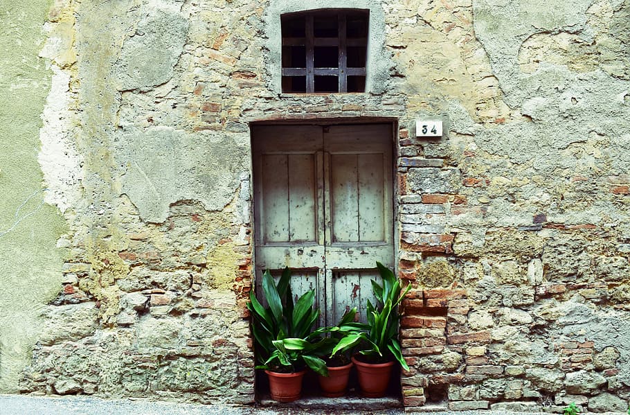 green plants in front of gray wooden door, brown brick house with green window and plants, HD wallpaper