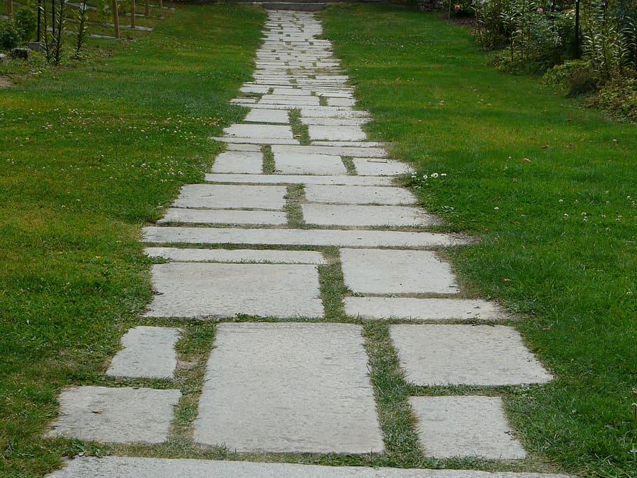 pavers, path, pierre, normandy, plant, grass, footpath, the way forward HD wallpaper