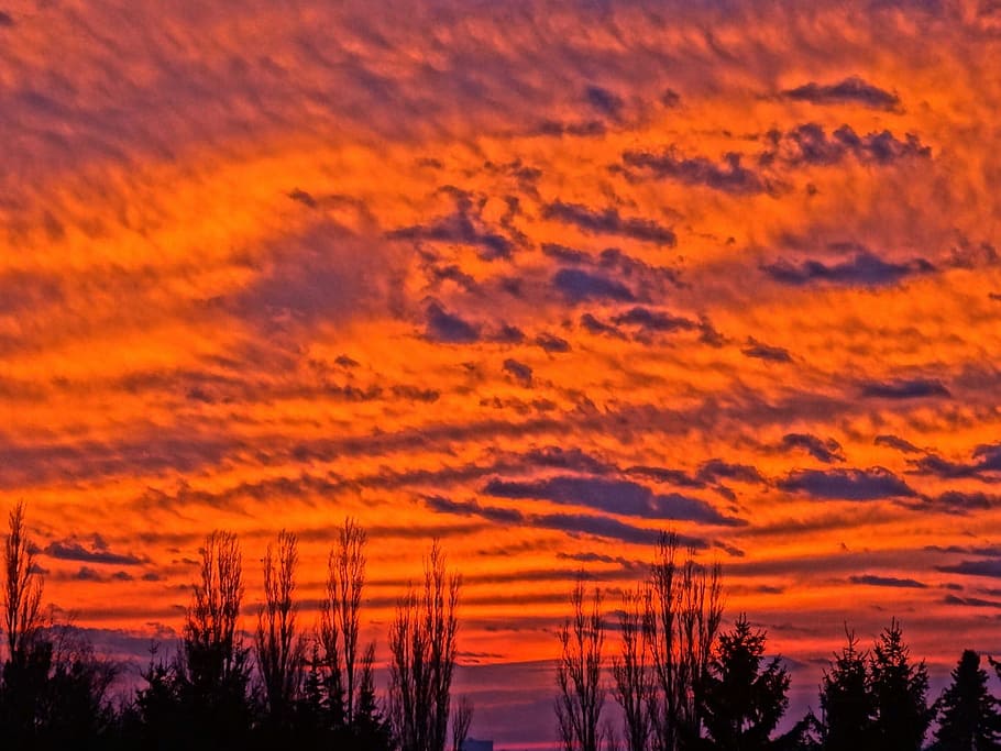 Sunset, Cloudscape, Orange, Sky, Nature, dusk, light, orange color HD wallpaper